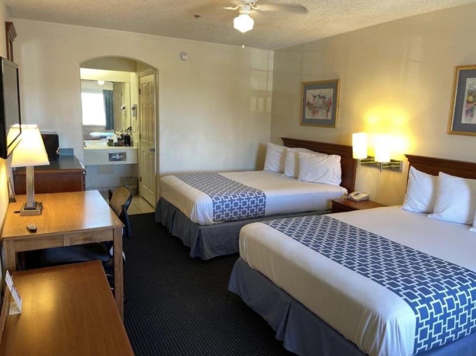 The Flamingo - South Padre Island Hotel in South Padre Island