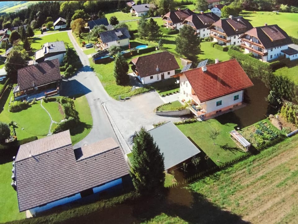 Summer, On site, Garden view, Inner courtyard view