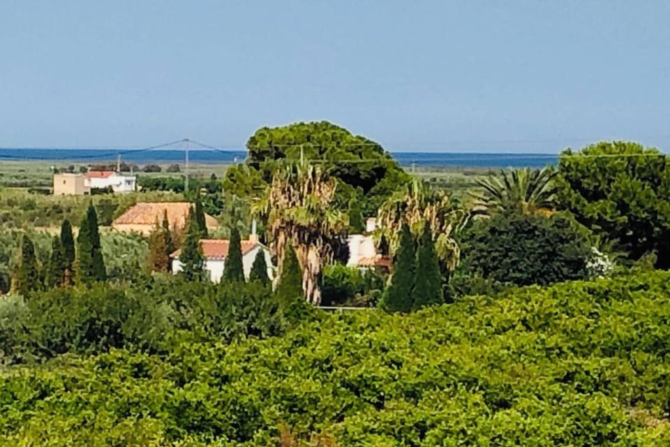Property building, Natural landscape, Sea view