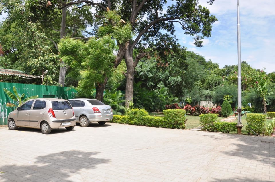 Garden