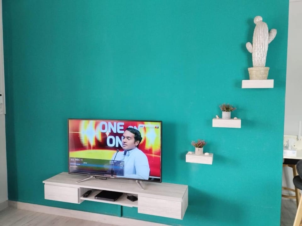 TV and multimedia