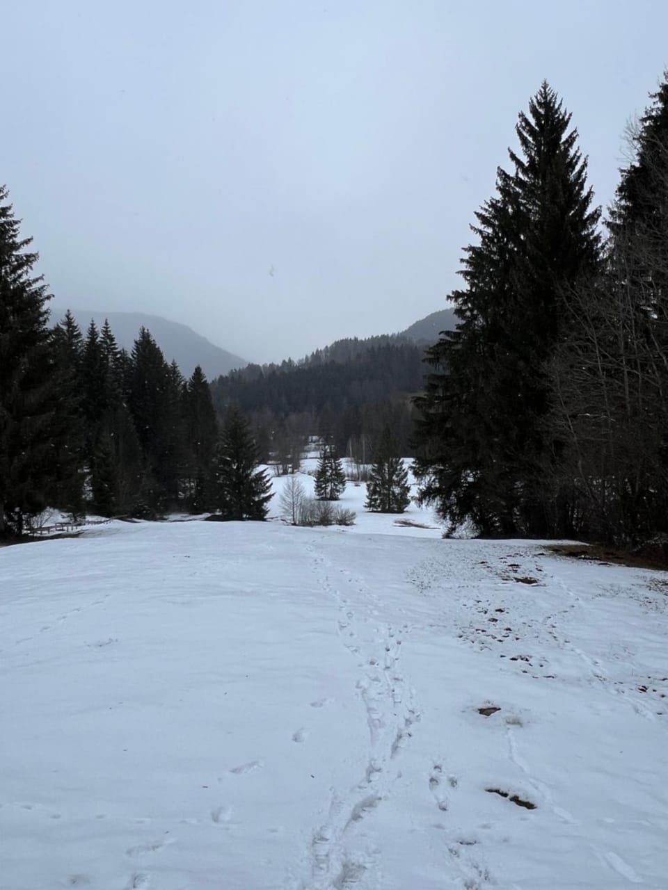 Natural landscape, Winter