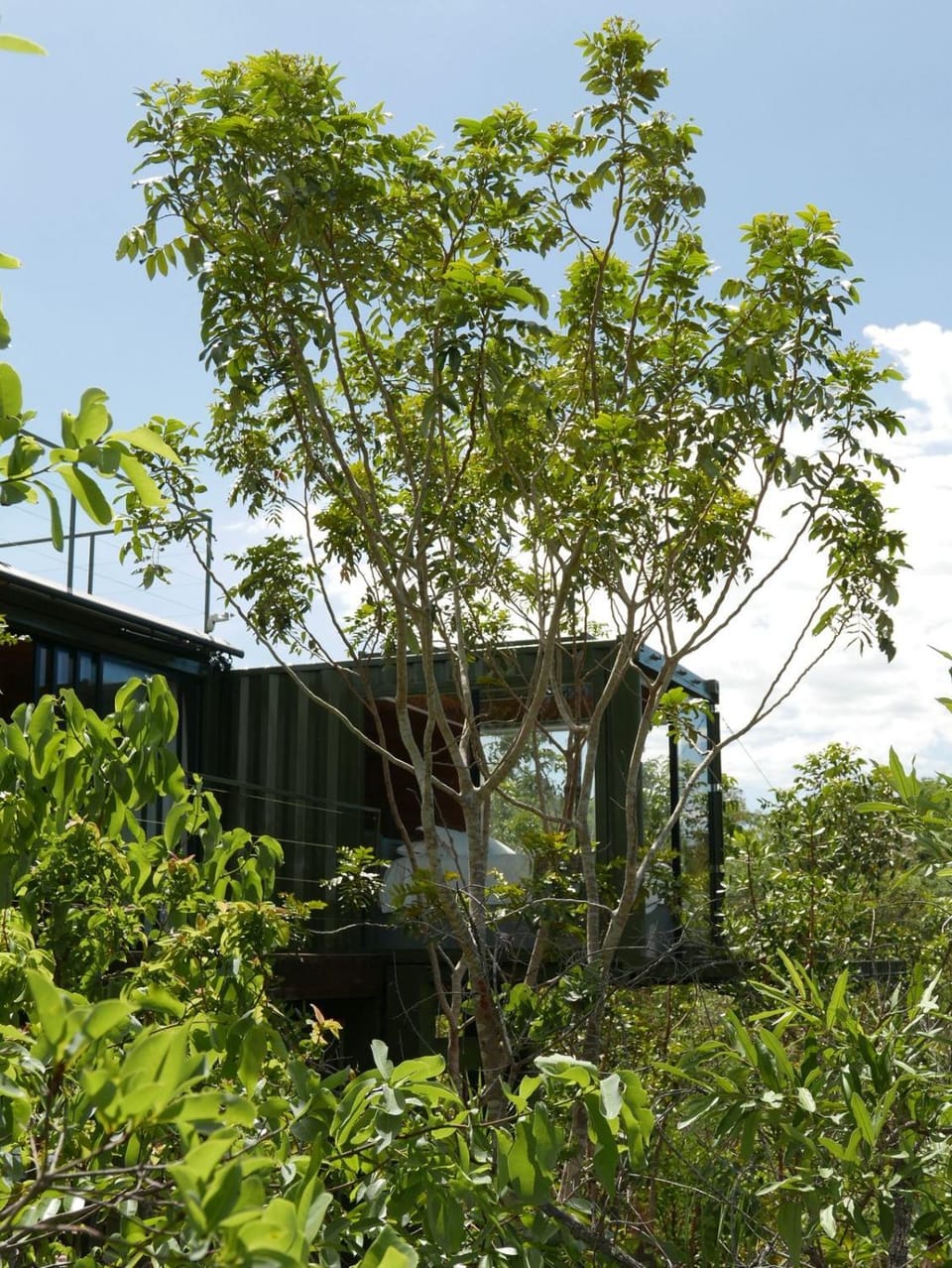 Day, Natural landscape, Garden, Garden view