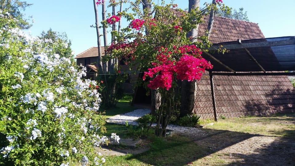 Natural landscape, Summer, On site