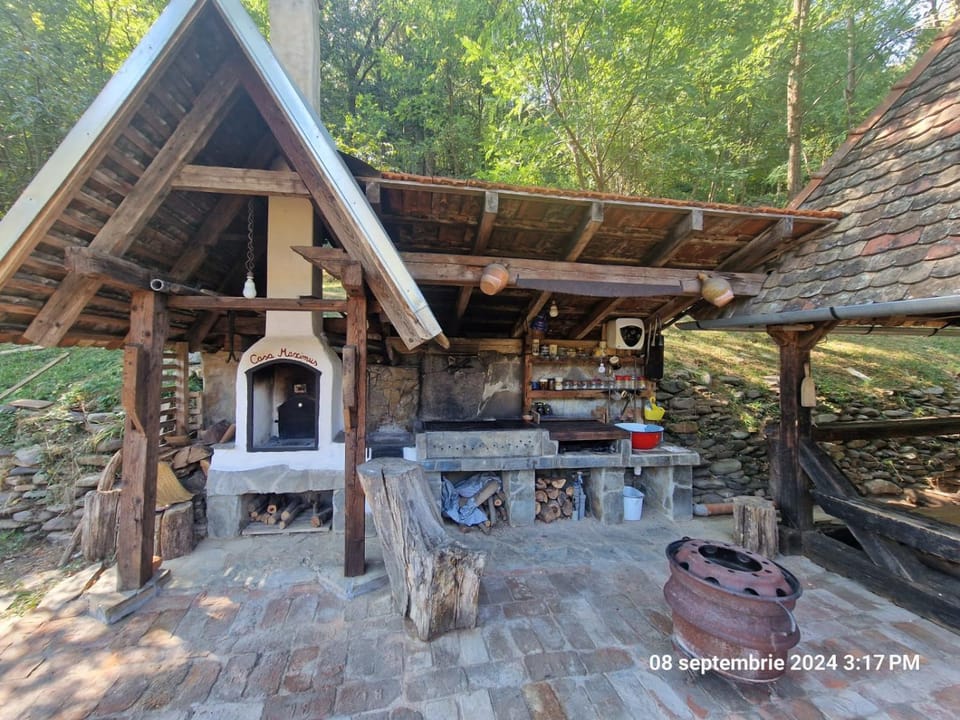 Pensiunea CASA MAXIMUS House in Romania