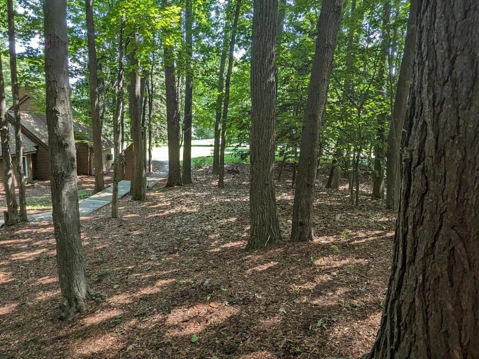 South Village 7 House in Sleeping Bear Dunes