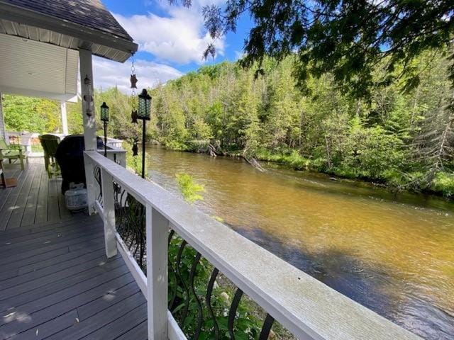 Slice of River Life House in Michigan