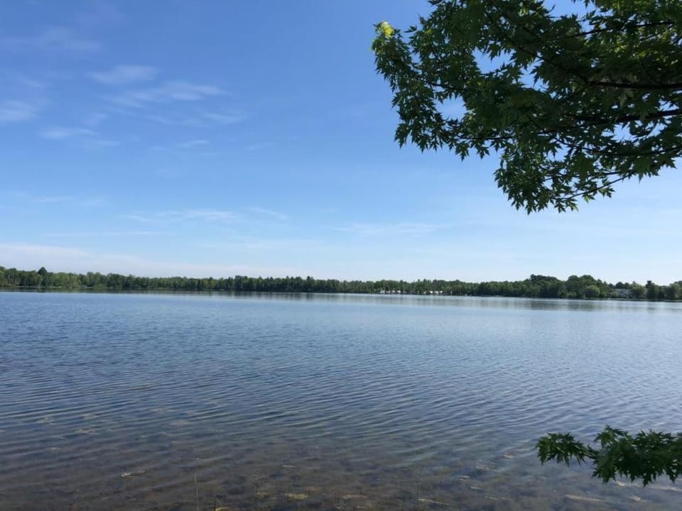 The Dragonfly House in Elk Rapids