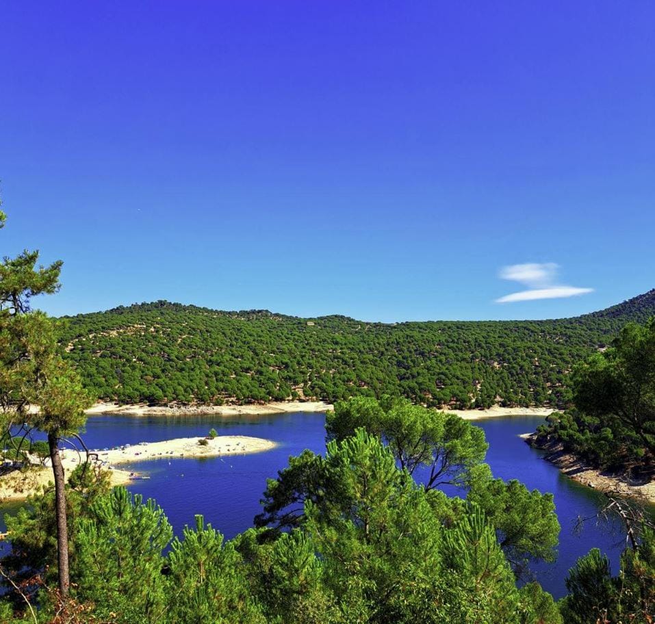 Lake view