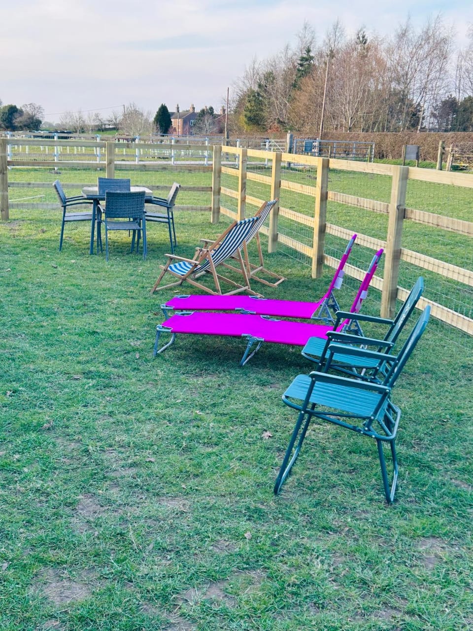 Natural landscape, Garden, Garden view, sunbed