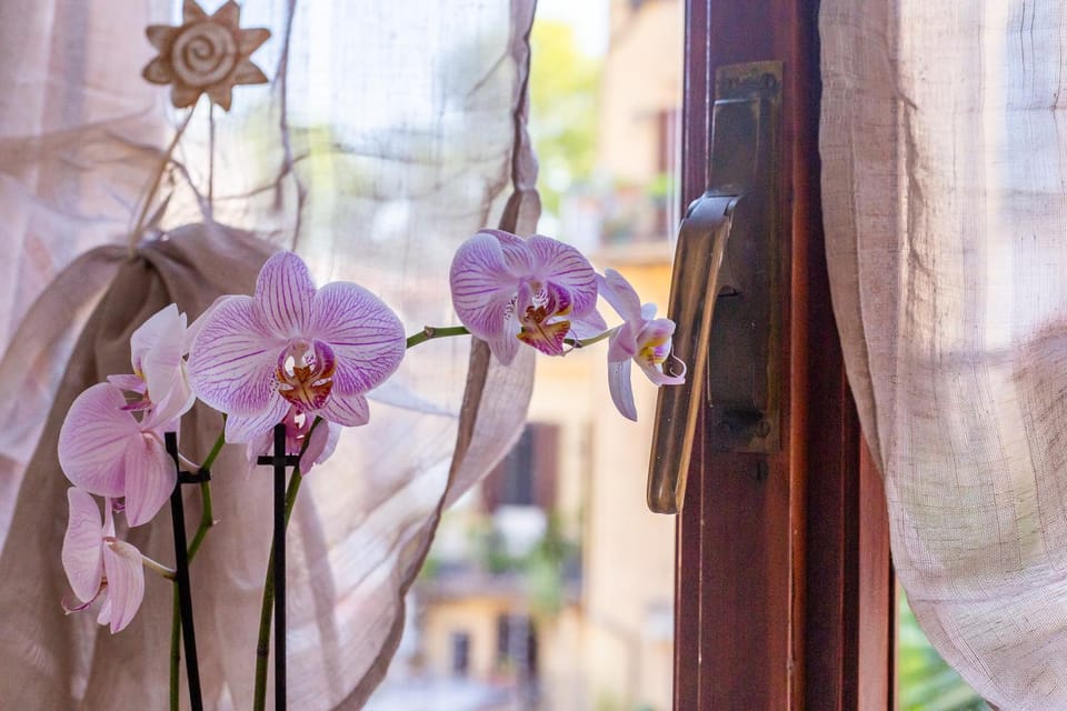 La casa di Elba Bed and Breakfast in Rome