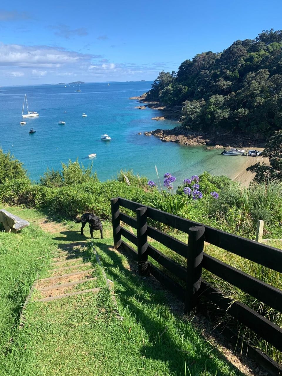 Queens Drive House in Auckland Region