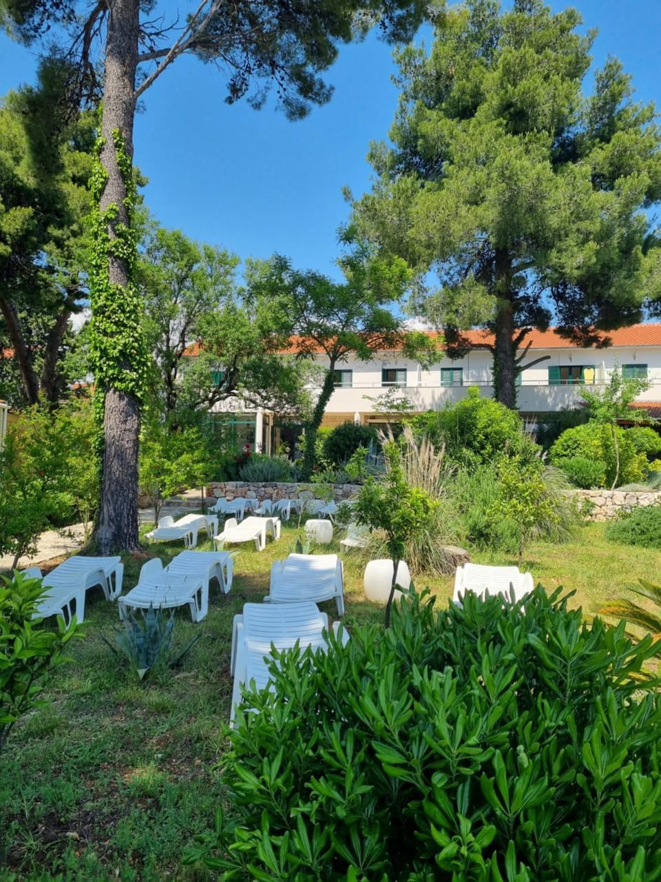 Property building, Garden, Garden, Garden view