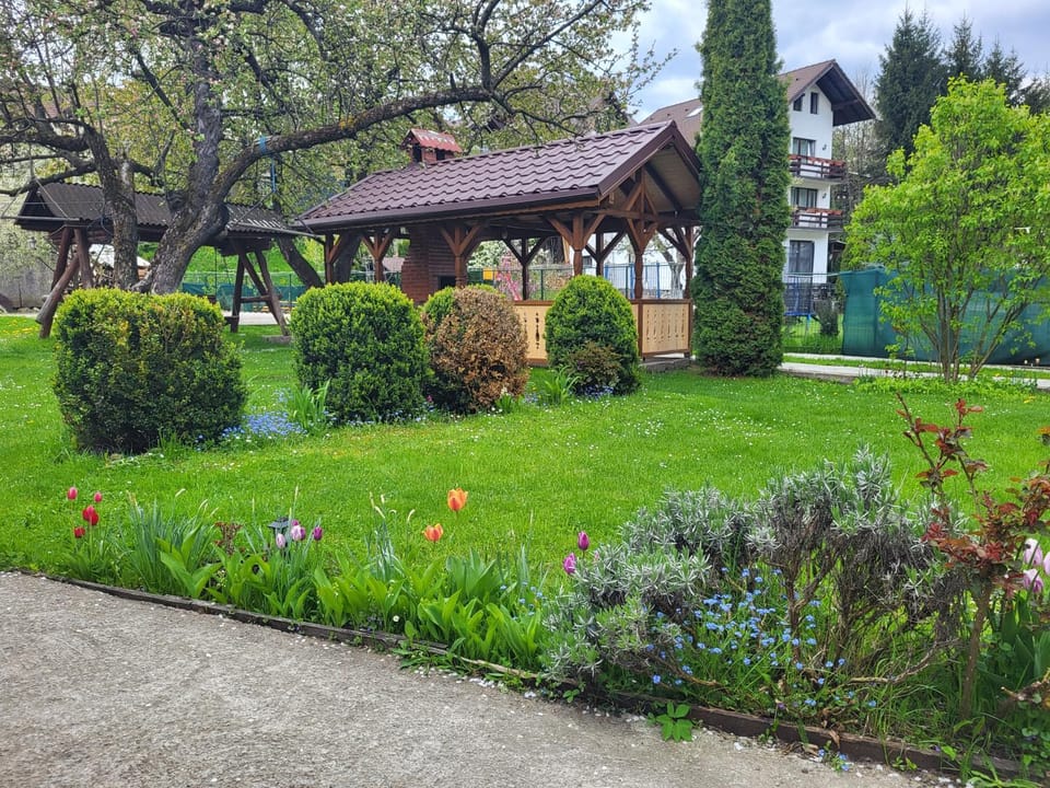 Casa ERNST Bed and Breakfast in Brașov County