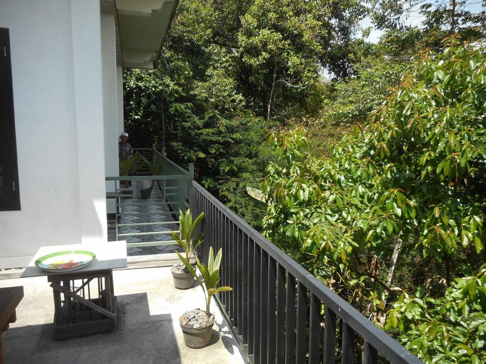 Terrace Homestay Besakih Vacation rental in Selat