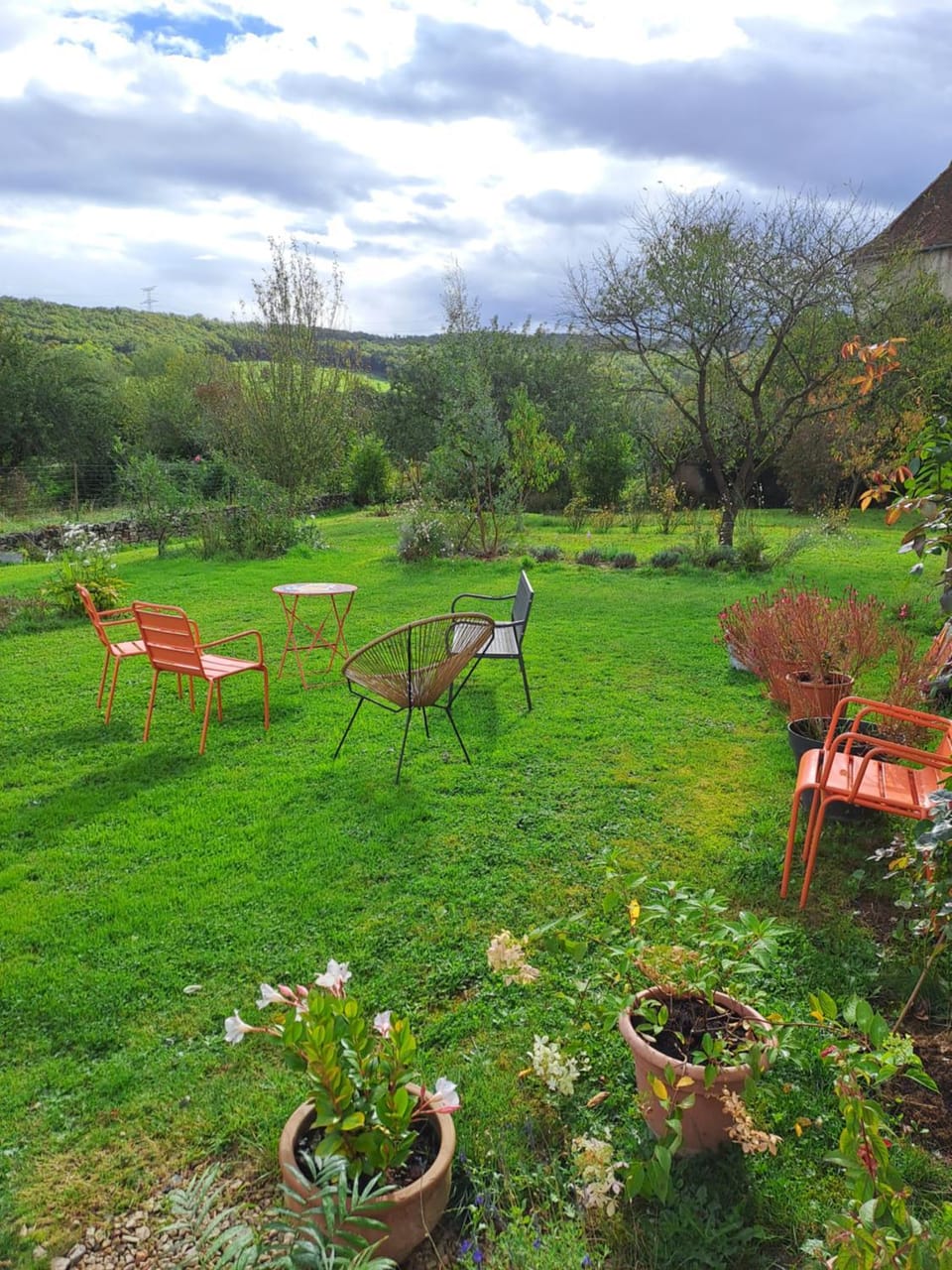 Garden