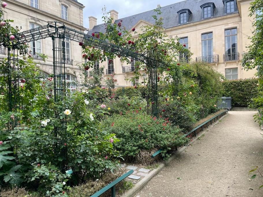 Garden view