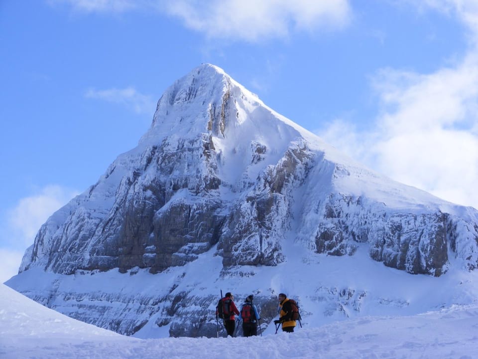 Winter, group of guests