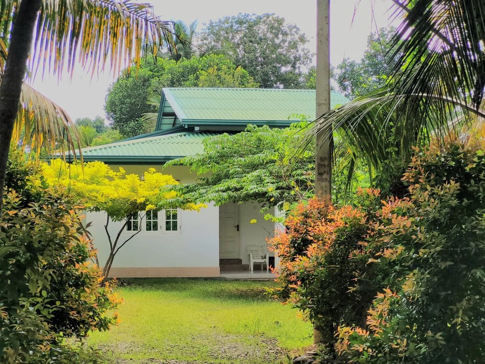 Serene Lush Holiday Home House in Tangalle
