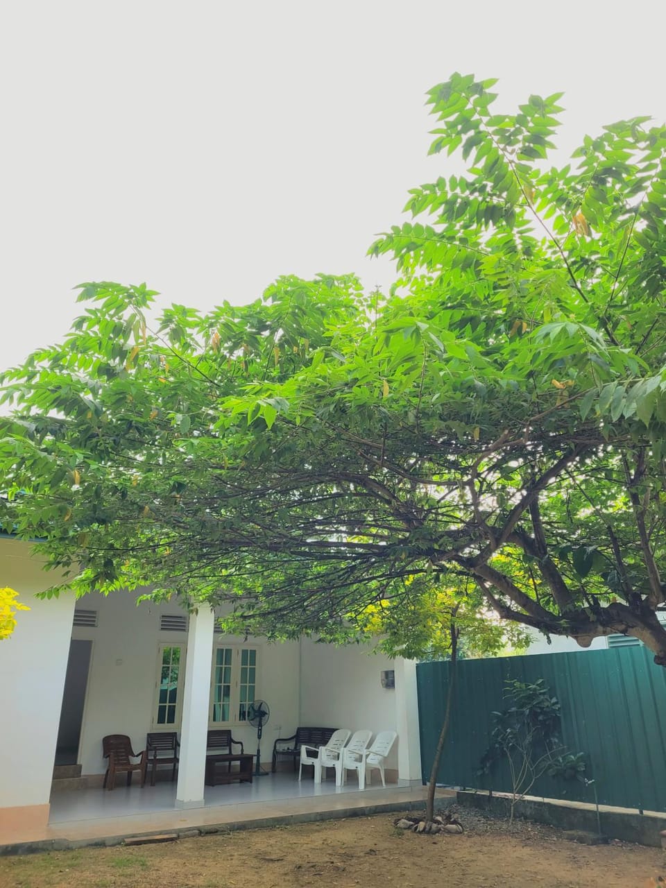 Serene Lush Holiday Home House in Tangalle