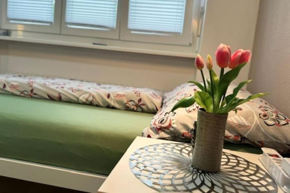 HEART Studio Visp Zentrum I ruhig I Single I Paare I Küche Apartment in Canton of Valais