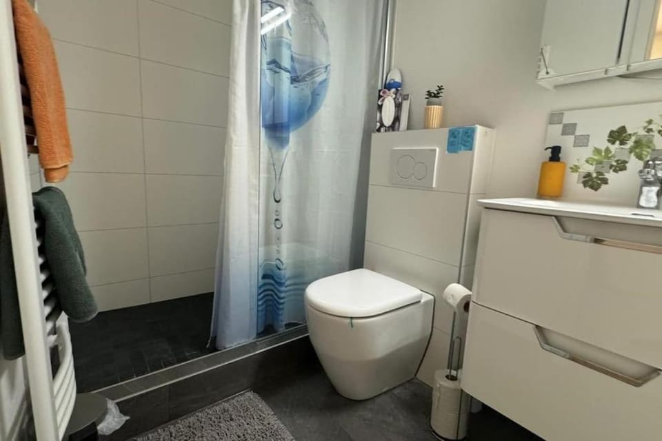 Shower, Toilet, towels