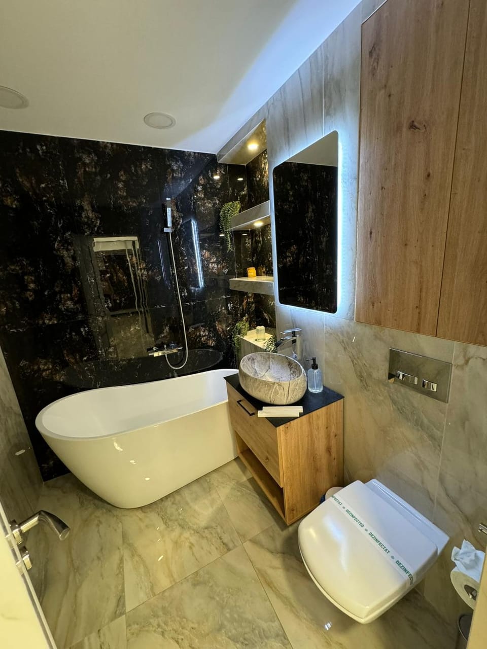 Deluxe Retreat & Business Apart Apartment in Moldova