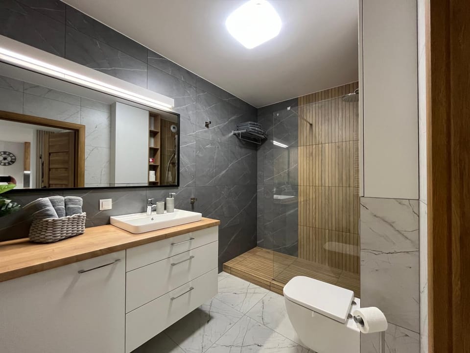 Shower, Toilet, Bathroom, towels