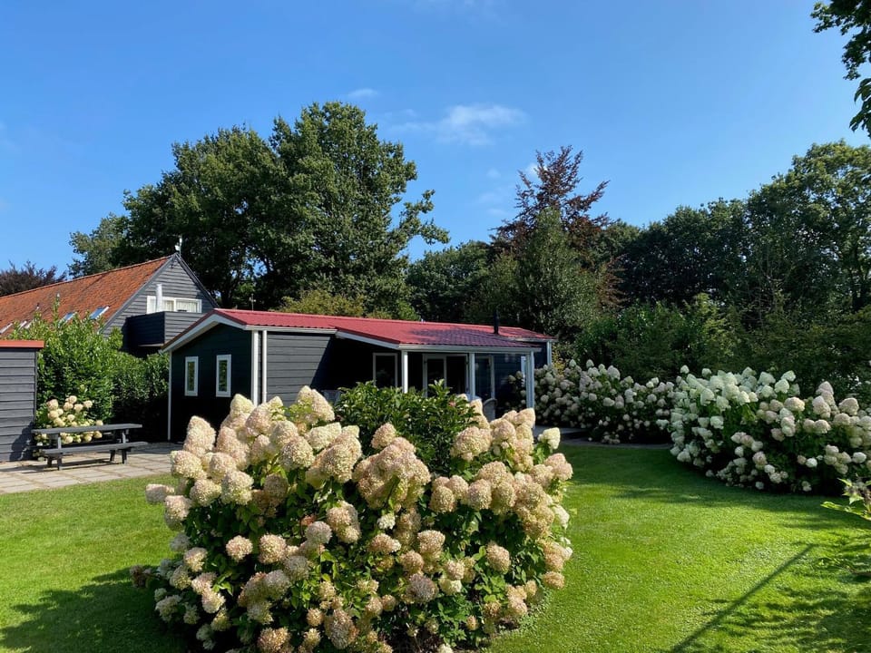 Property building, Natural landscape, Garden view