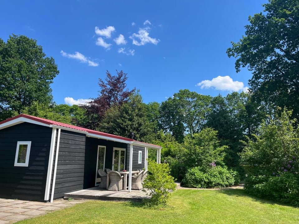 Day, Natural landscape, Garden, Garden view