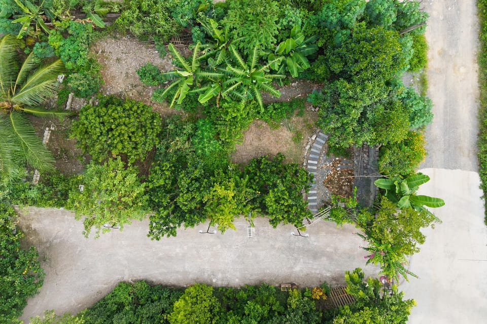 Spring, Day, Natural landscape, Bird's eye view, Garden, Garden view