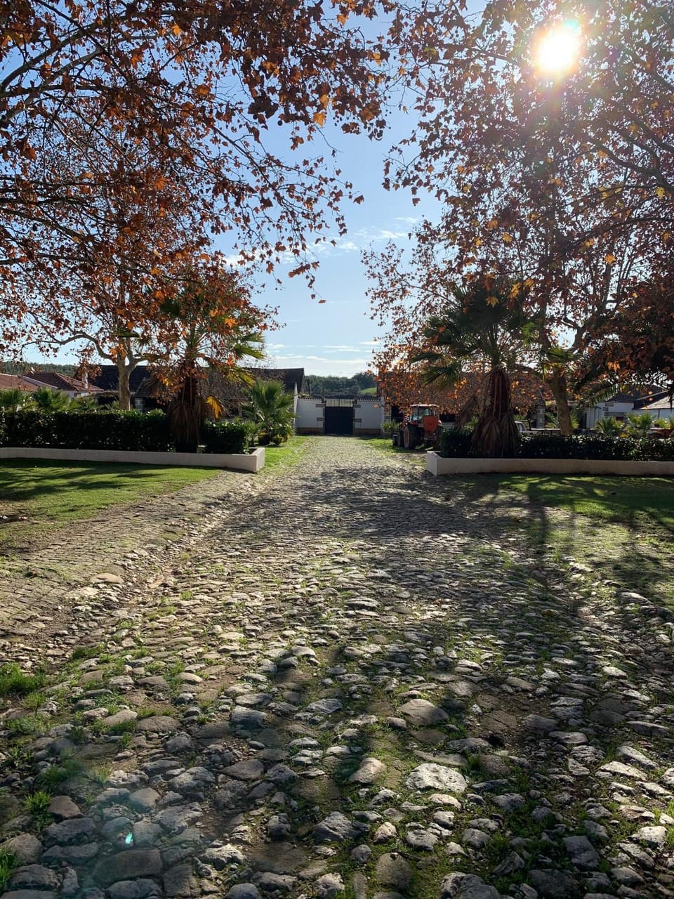 Facade/entrance, Garden, View (from property/room)