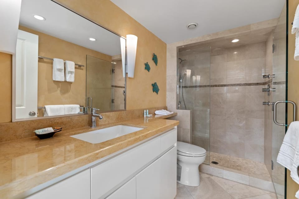 Shower, Toilet