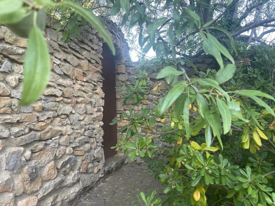 Le Mas Terra Mare Bed and Breakfast in Gruissan
