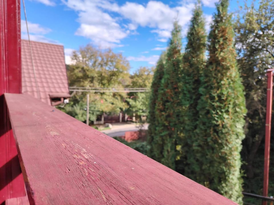 Casa Graur Bed and Breakfast in Moldova