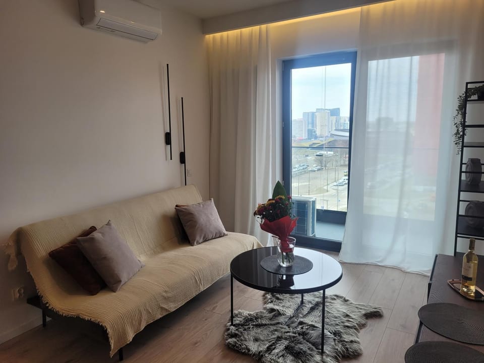 Living room, Seating area, air conditioner