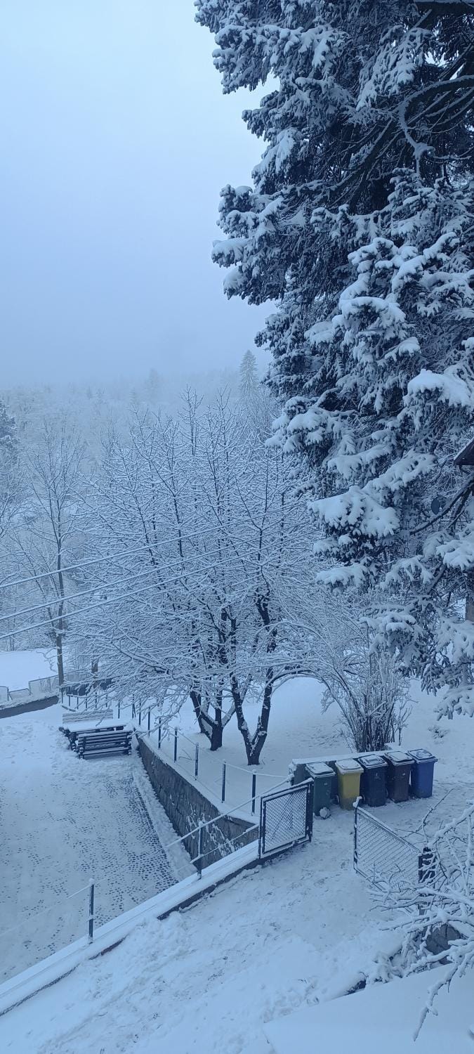 Natural landscape, Winter