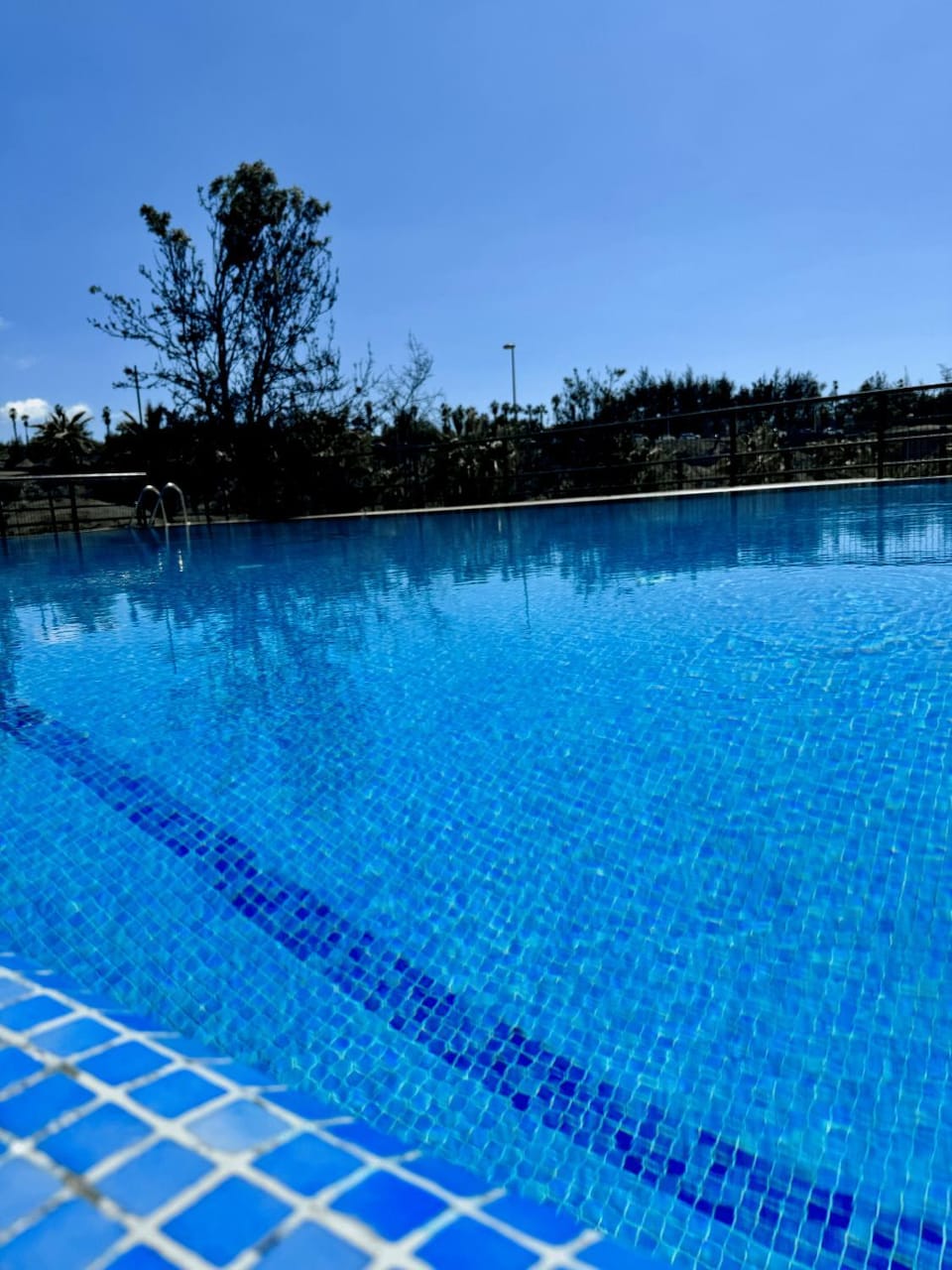 Day, Pool view, Swimming pool