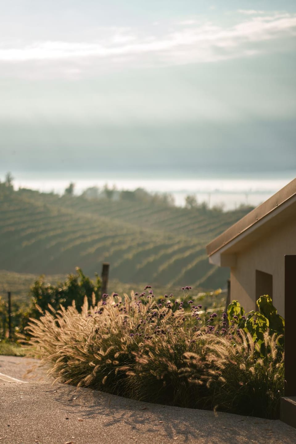 Property building, Natural landscape