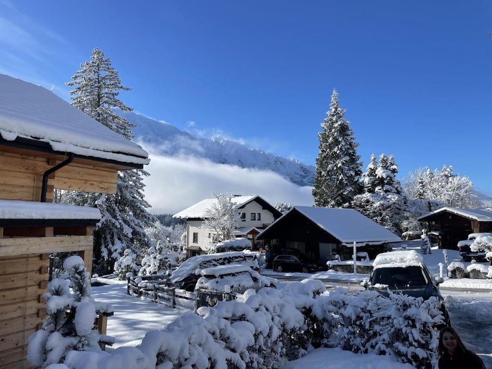 Winter, Area and facilities