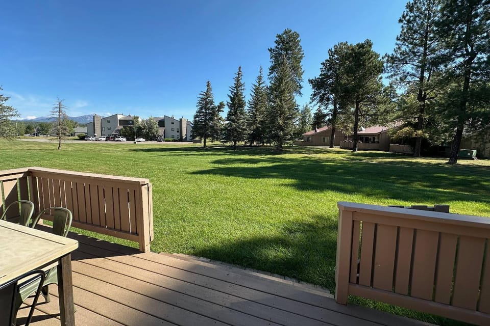 145 Davis Cup #4045 ("Pines 4045") House in Pagosa Springs