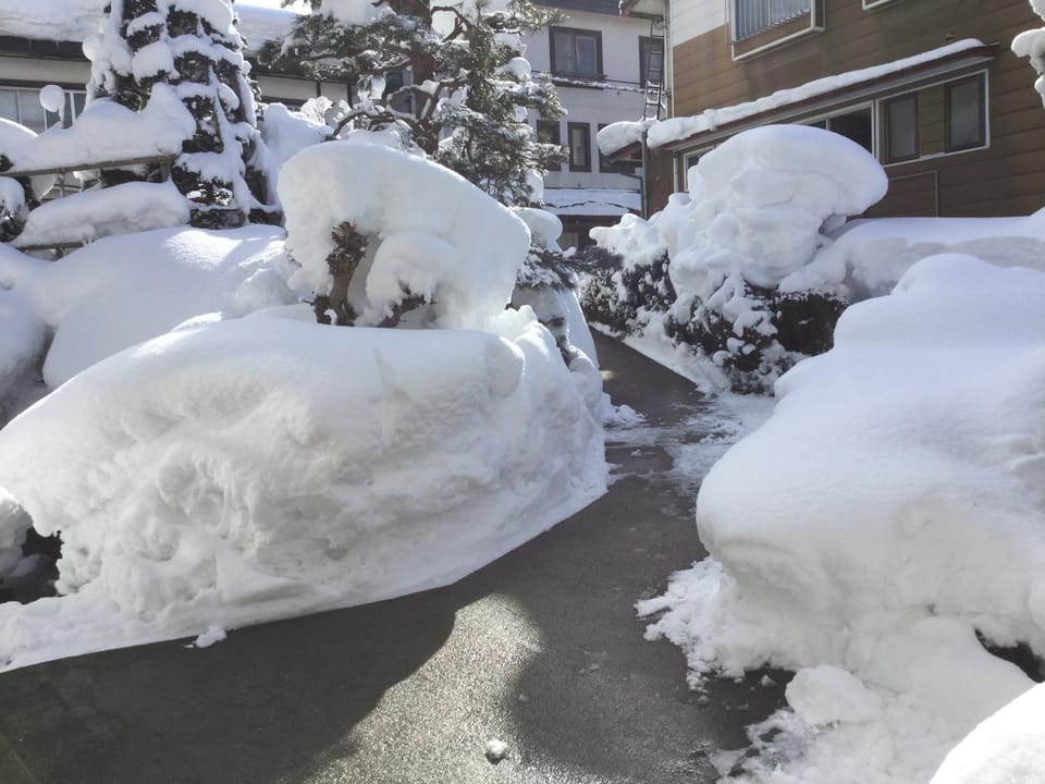 Tobei Bed and Breakfast in Nozawaonsen