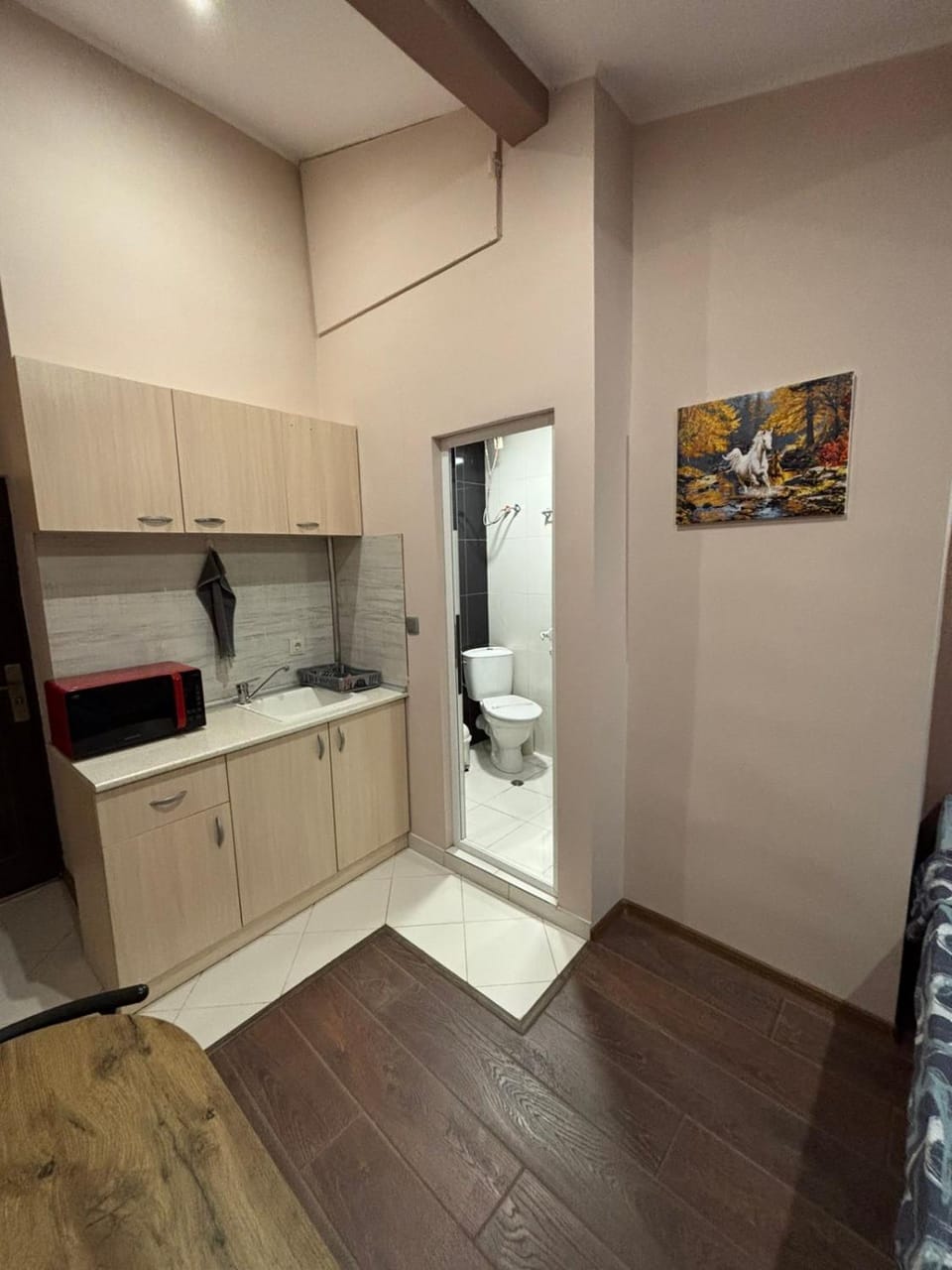 Kitchen or kitchenette, Photo of the whole room