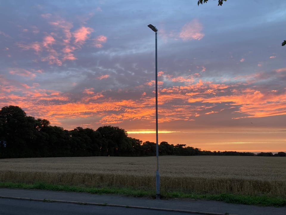 Night, Neighbourhood, View (from property/room), Sunset
