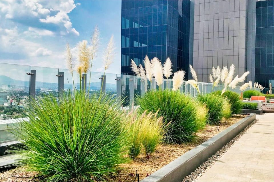 FIFA World Cup Ready Polanco PH Panoramic Views Apartment in Mexico City