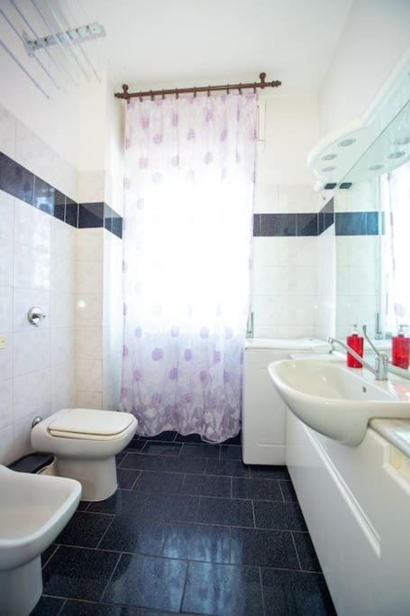 Shower, Toilet, Bathroom, Bath, bidet