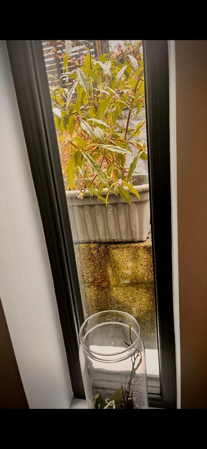 Peaceful, relaxing and warm 2-bedroom, sleeps 4, self-catering Galtee Mountain Lodge - for Mitchelstown, Cahir, Cashel and Cork, 1hr drive from 4 cities Apartment in County Waterford