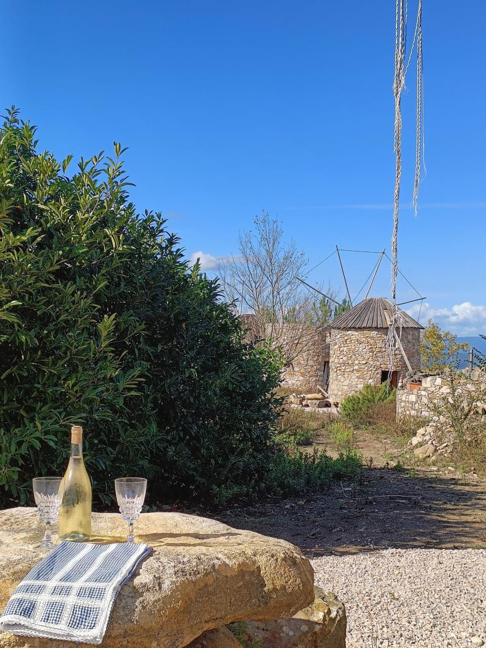 Natural landscape, Garden view