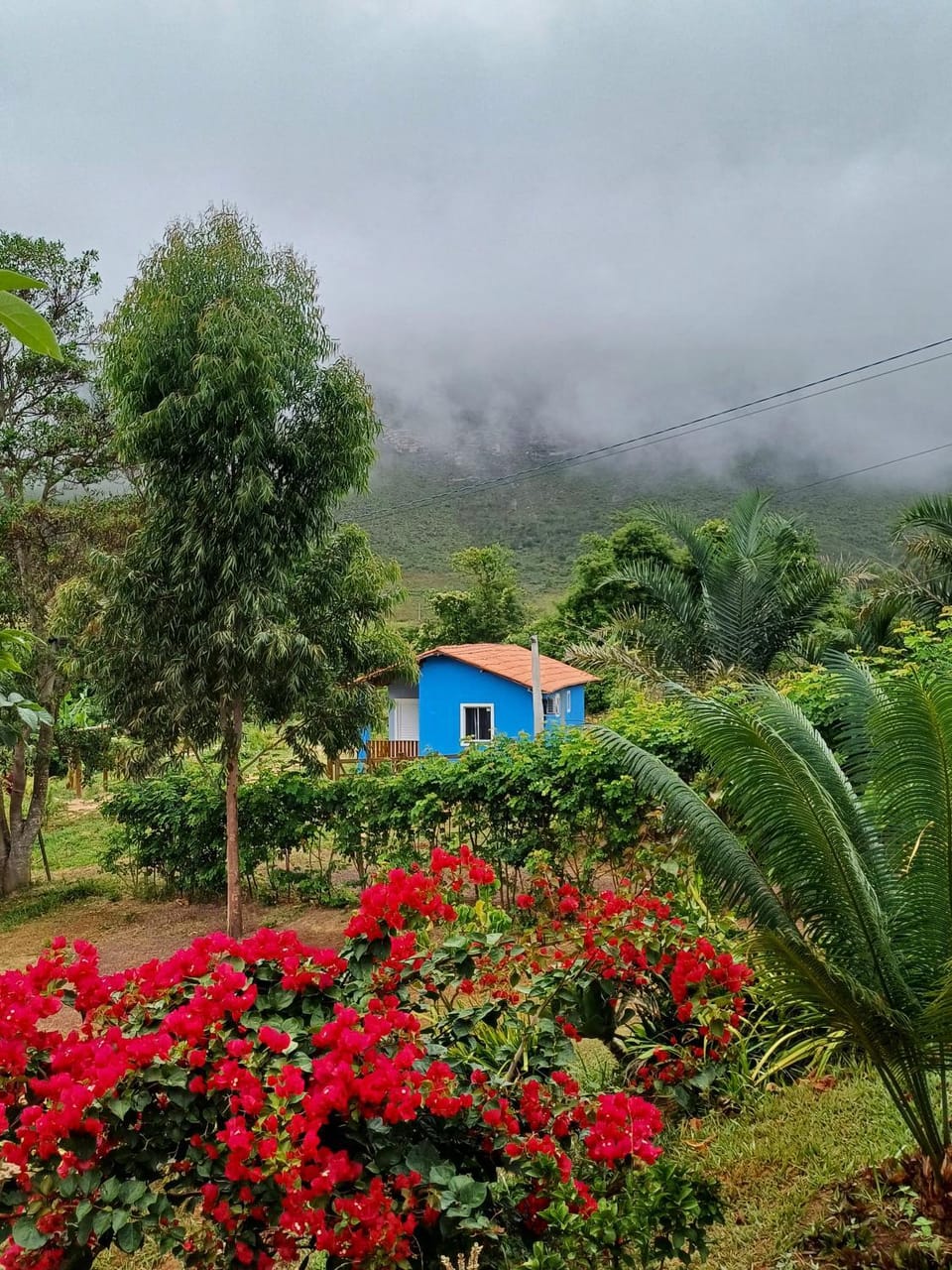 View (from property/room)