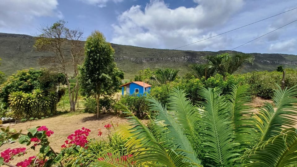 View (from property/room), Mountain view